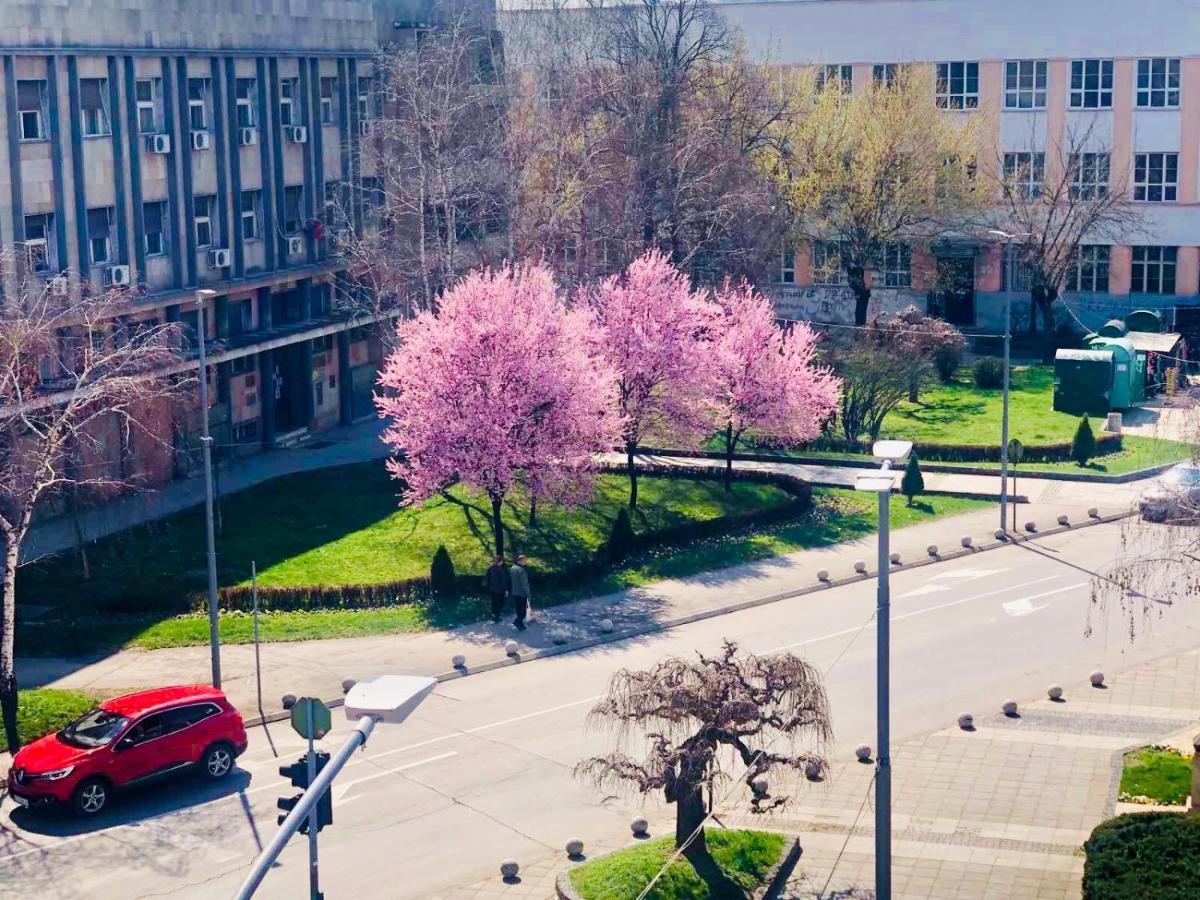 Bella Studios Kruševac 外观 照片